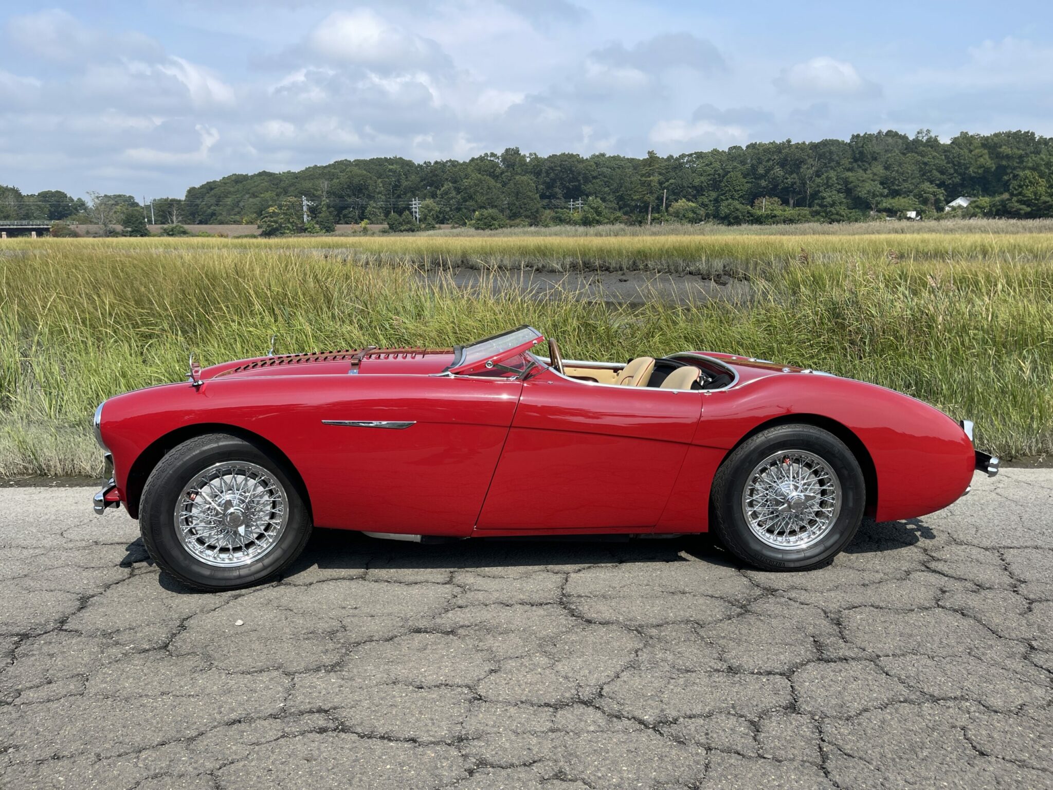 Windscreen Austin Healey 100s